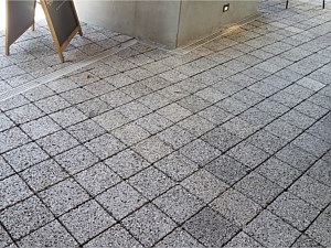 Pervious Pavers 2