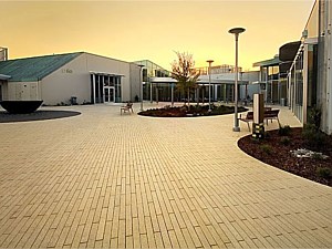 Narrow Modular Pavers 61